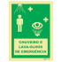 Ducha de emergencia y lavaojos 